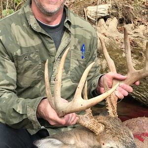 Meet your Posher, Steve